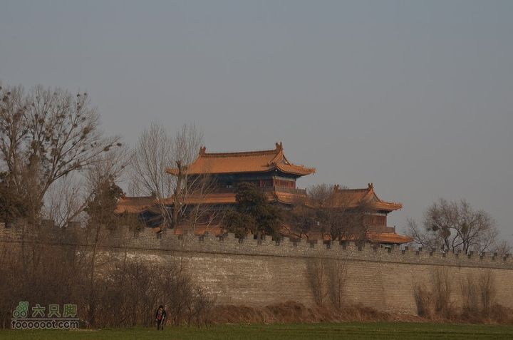  骑行风陵渡、老潼关 DSC_0130