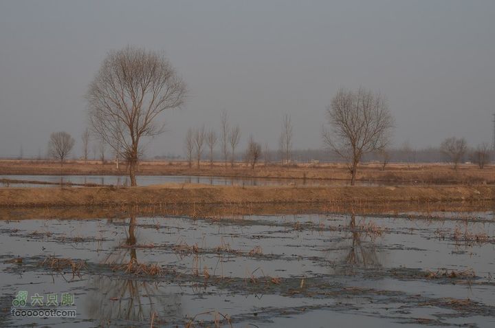  骑行风陵渡、老潼关 DSC_0128