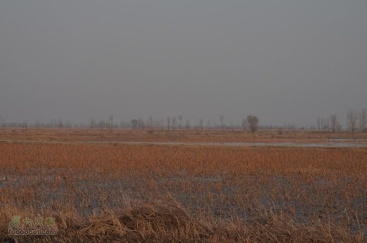  骑行风陵渡、老潼关 DSC_0126