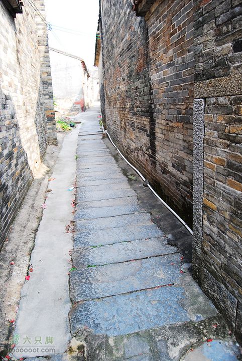 龍華鎮至龍華鎮至惠州DSC_4173