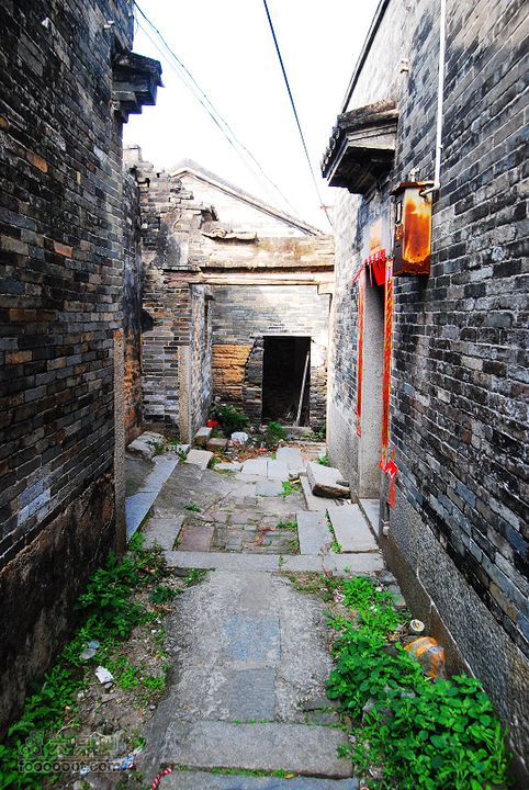 龍華鎮至龍華鎮至惠州DSC_4199