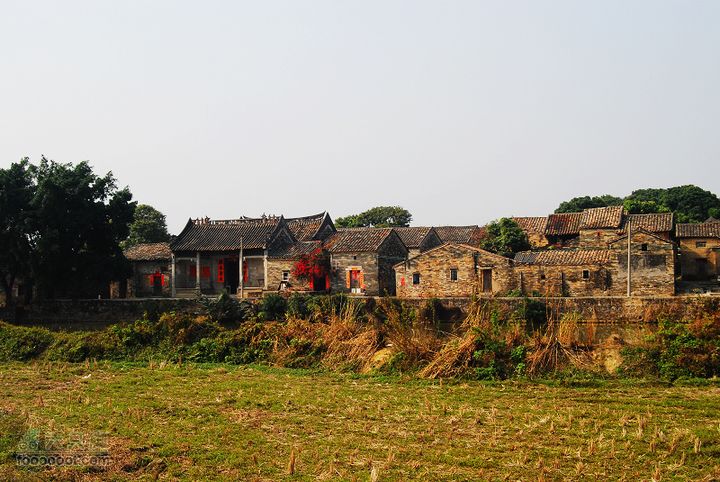 龍華鎮至龍華鎮至惠州DSC_4202