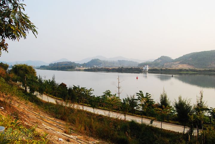 龍華鎮至龍華鎮至惠州DSC_4217