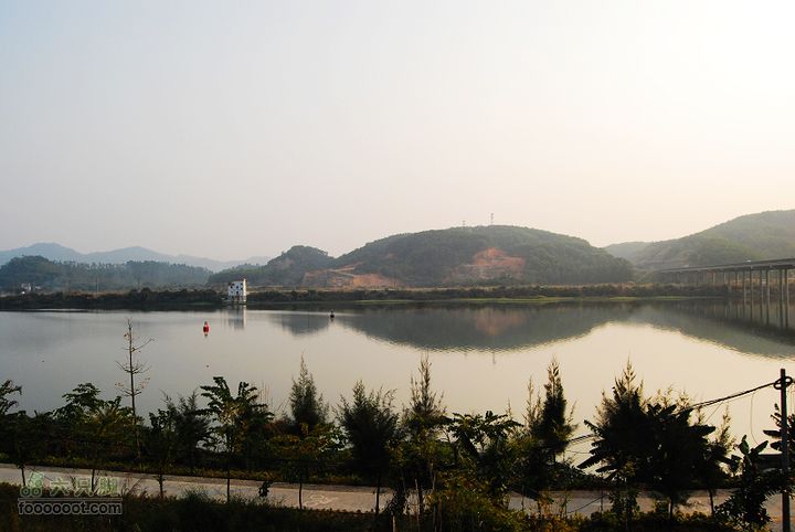 龍華鎮至龍華鎮至惠州DSC_4218