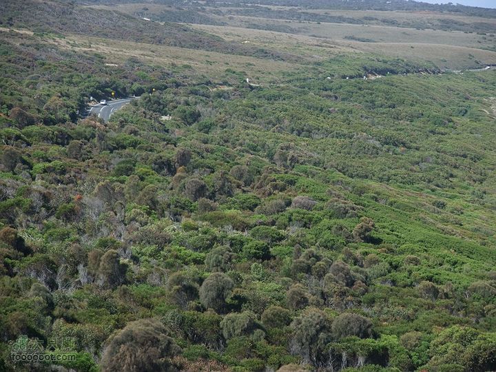 骑行大洋路 - 1 掩映在树丛中的大洋路