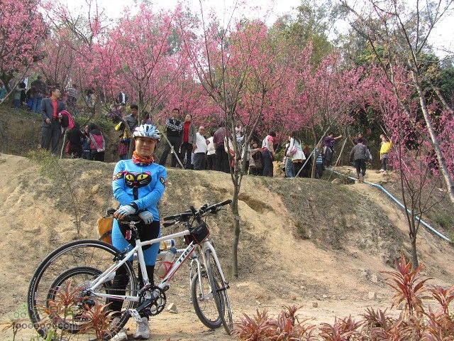2012.2.19.用海鸟与车友去番禺黄山鲁森林公园看樱花IMG_7239_眸目压缩