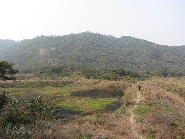 2012.2.19.用海鸟与车友去番禺黄山鲁森林公园看樱花IMG_7269_眸目压缩