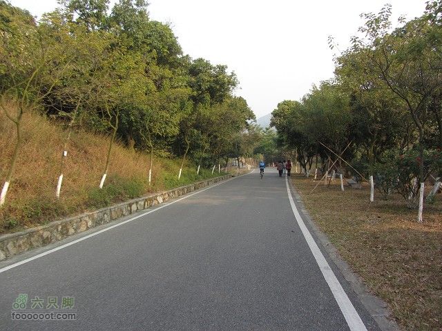 2012.2.19.用海鸟与车友去番禺黄山鲁森林公园看樱花IMG_7362_眸目压缩
