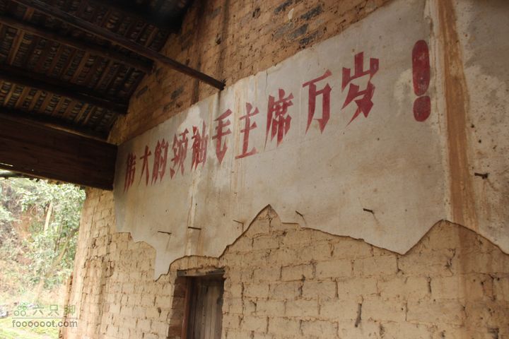 只身探路河南寨标语