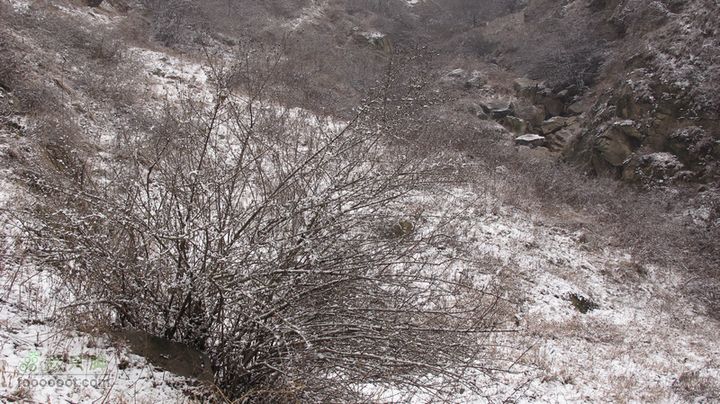 2012.2.26塔盘沟-竹祥沟穿越IMG_2640