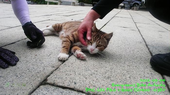 2012 03 04 大學站、新界北區P1450806