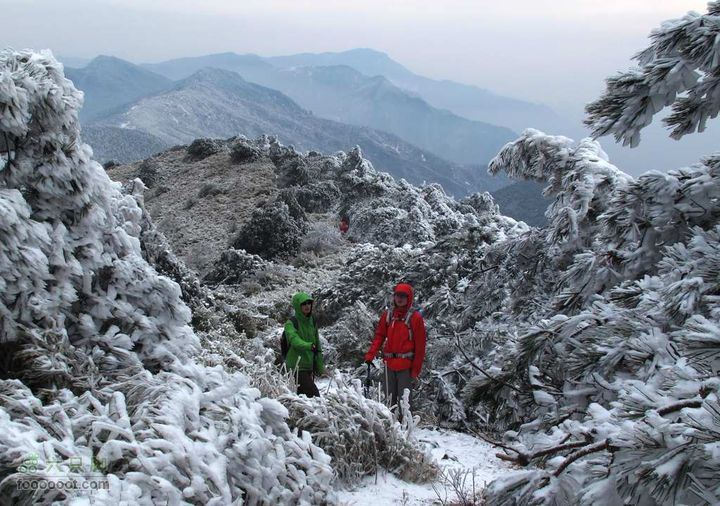 浪广-上溪IMG_2580
