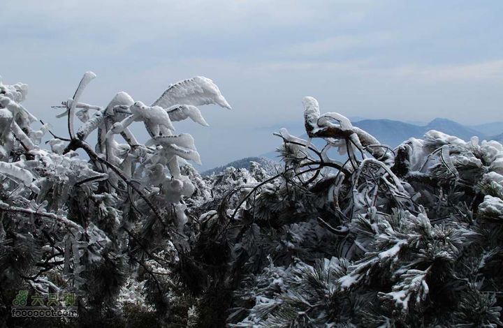 浪广-上溪IMG_2582