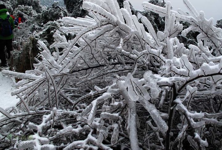 浪广-上溪IMG_2586