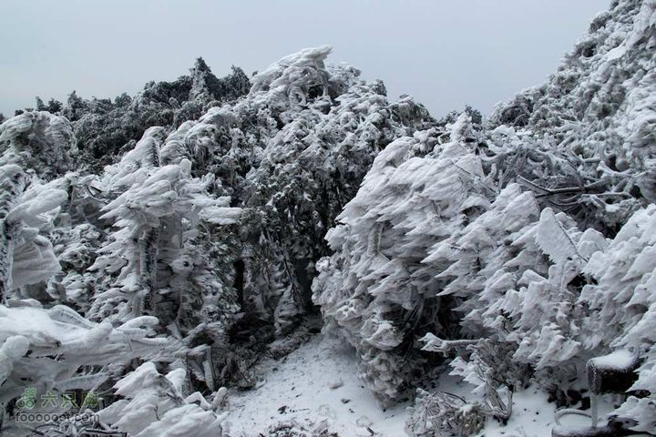 浪广-上溪IMG_2588
