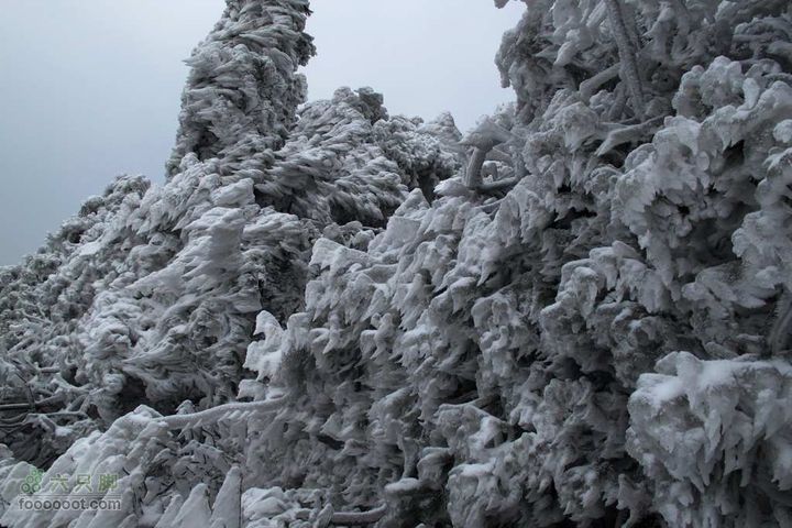 浪广-上溪IMG_2589