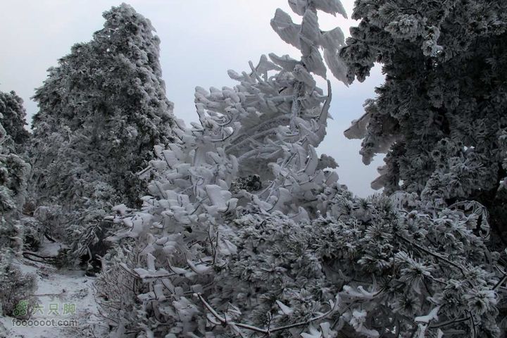 浪广-上溪IMG_2590