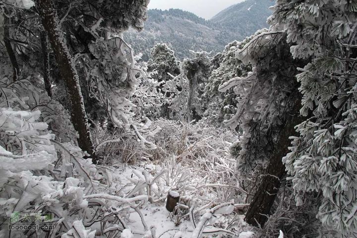 浪广-上溪IMG_2591