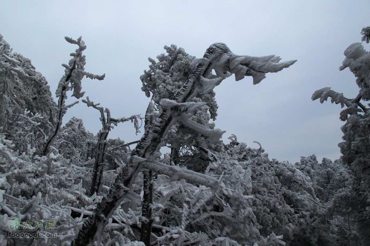 浪广-上溪IMG_2592