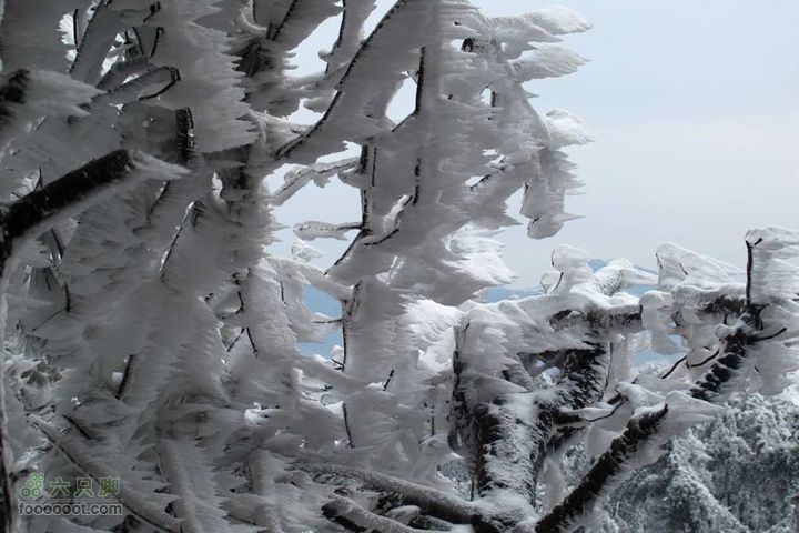 浪广-上溪IMG_2594