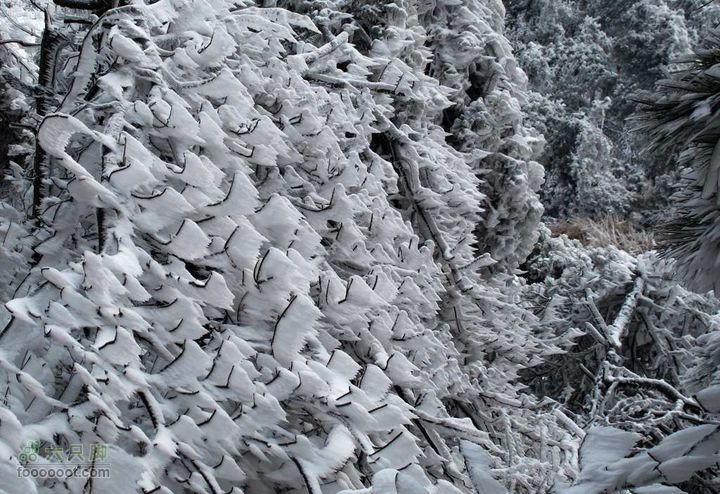 浪广-上溪IMG_2595