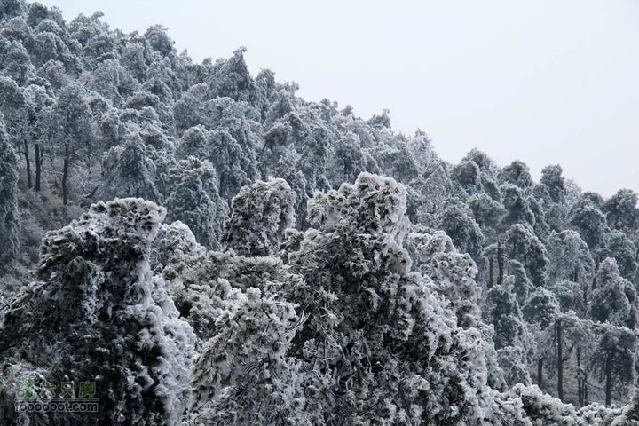 浪广-上溪IMG_2597