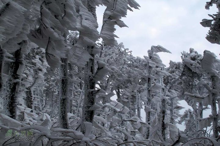 浪广-上溪IMG_2598