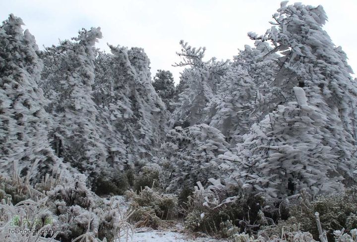 浪广-上溪IMG_2601