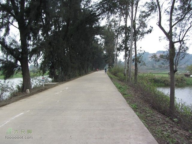 2012.3.10.周六骑台JAVA山地14寸去高明看油菜花IMG_7554_眸目压缩