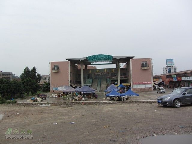 2012.3.10.周六骑台JAVA山地14寸去高明看油菜花IMG_7561_眸目压缩