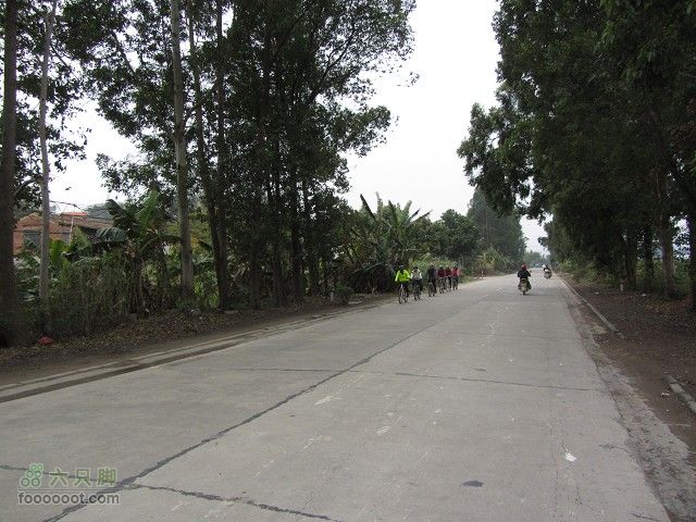 2012.3.10.周六骑台JAVA山地14寸去高明看油菜花IMG_7566_眸目压缩