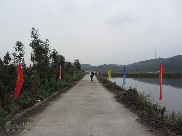 2012.3.10.周六骑台JAVA山地14寸去高明看油菜花IMG_7569_眸目压缩