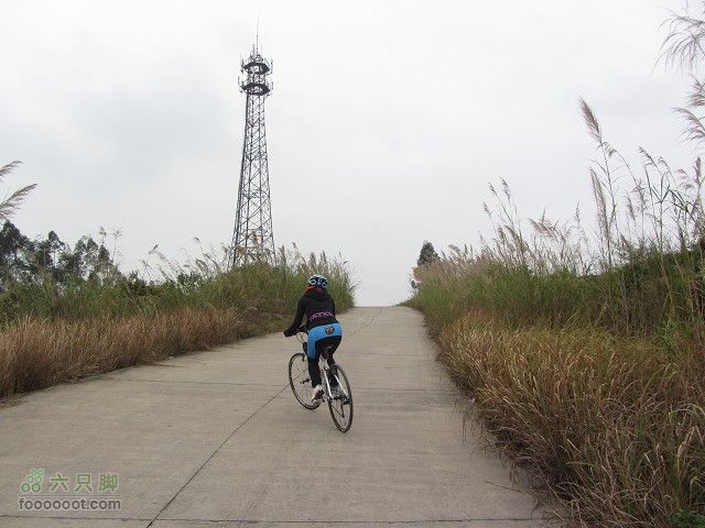 2012.3.10.周六骑台JAVA山地14寸去高明看油菜花IMG_7576_眸目压缩
