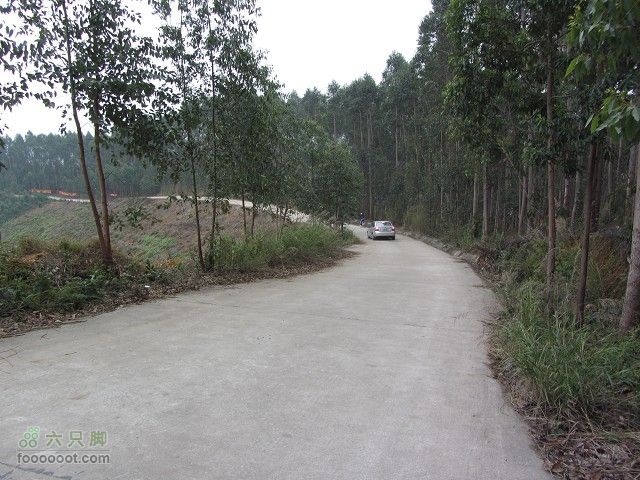 2012.3.10.周六骑台JAVA山地14寸去高明看油菜花IMG_7582_眸目压缩