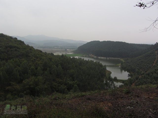 2012.3.10.周六骑台JAVA山地14寸去高明看油菜花IMG_7584_眸目压缩