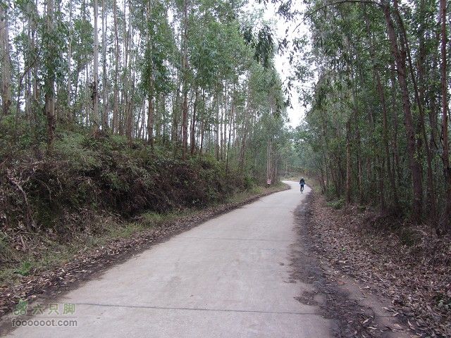 2012.3.10.周六骑台JAVA山地14寸去高明看油菜花IMG_7587_眸目压缩