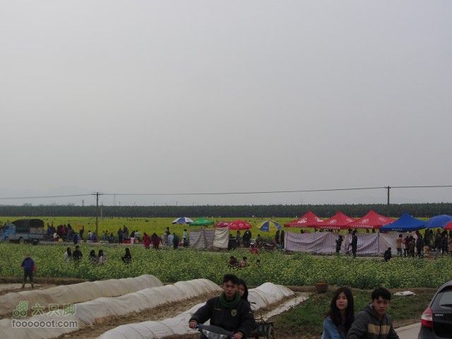 2012.3.10.周六骑台JAVA山地14寸去高明看油菜花IMG_7591_眸目压缩