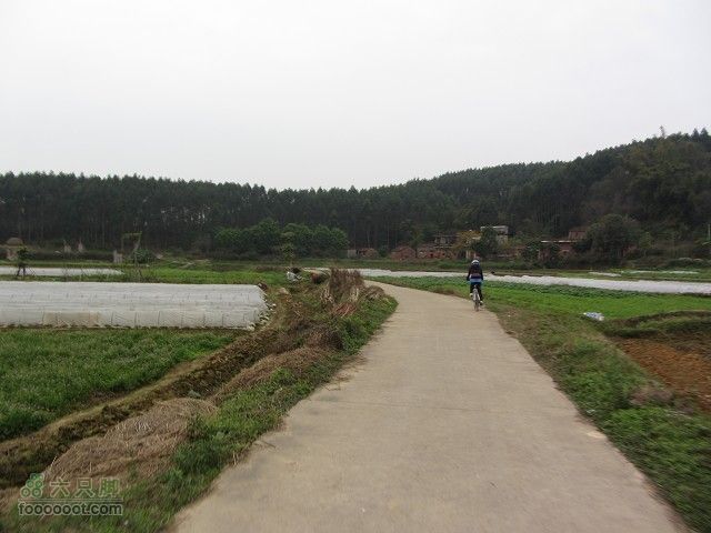 2012.3.10.周六骑台JAVA山地14寸去高明看油菜花IMG_7667_眸目压缩