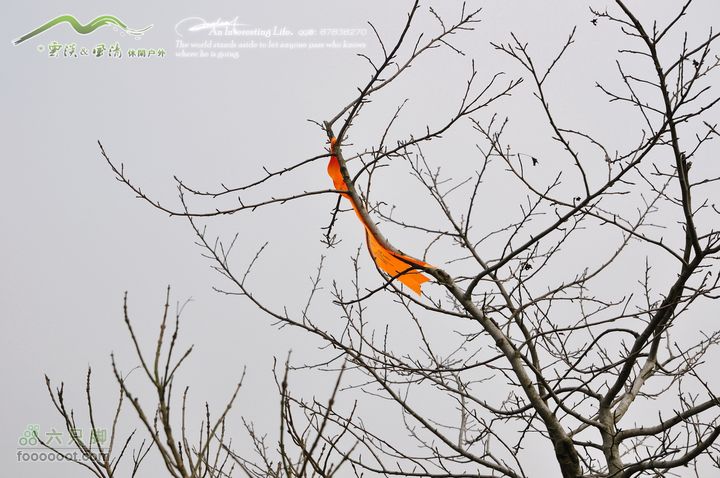 隐龙山龙脊穿越DSC_9369