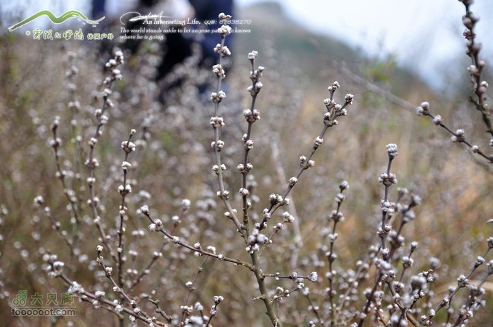 隐龙山龙脊穿越DSC_9374