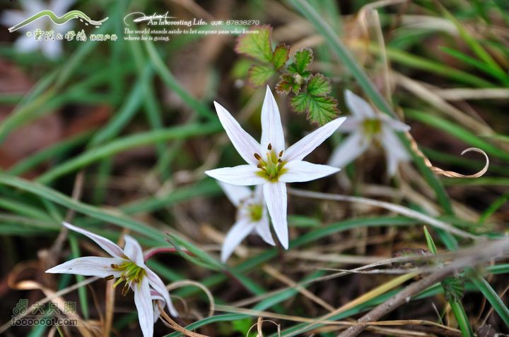 隐龙山龙脊穿越DSC_9382