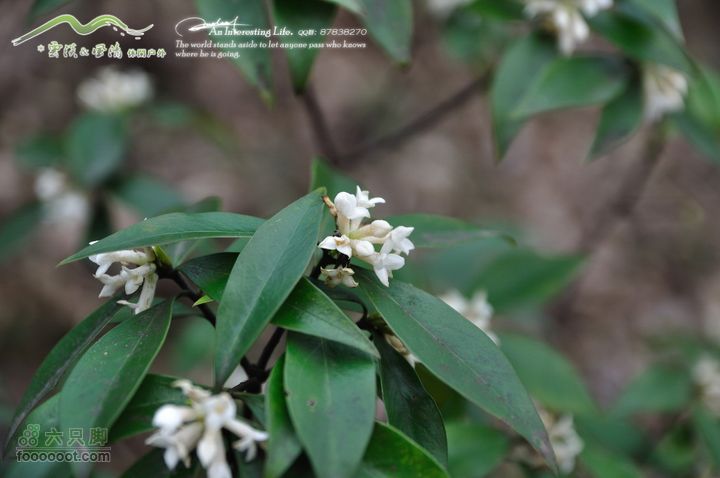 隐龙山龙脊穿越DSC_9386