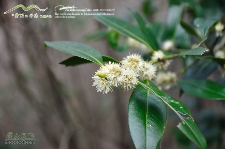 隐龙山龙脊穿越DSC_9387