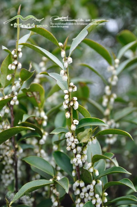 隐龙山龙脊穿越DSC_9390