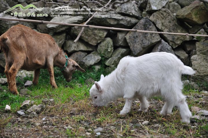 隐龙山龙脊穿越DSC_9548