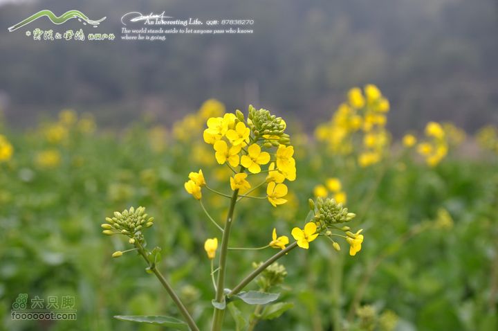 隐龙山龙脊穿越DSC_9558