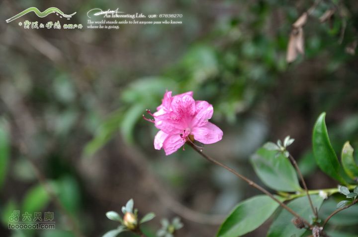 隐龙山龙脊穿越DSC_9560