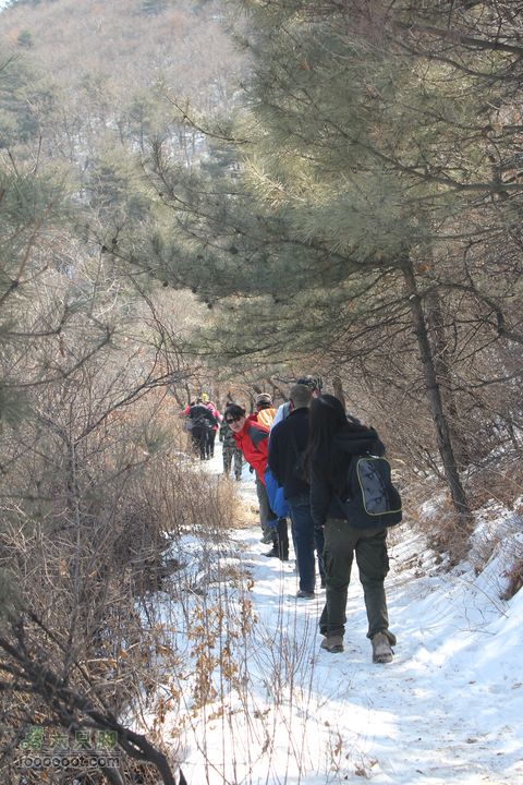 凤凰山滑雪场—耄仁寺IMG_8333