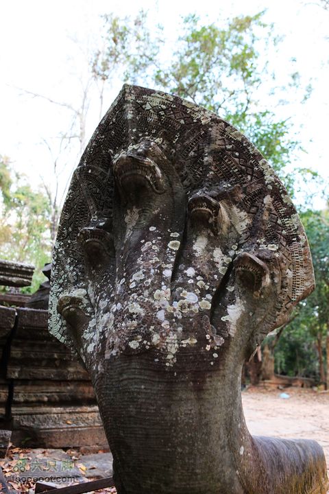 柬埔寨之旅IMG_4461s
