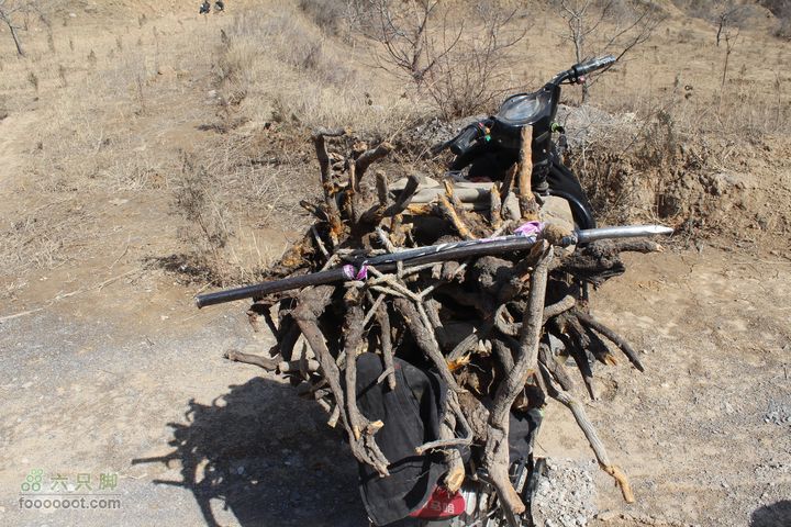凤凰山滑雪场—耄仁寺IMG_8388